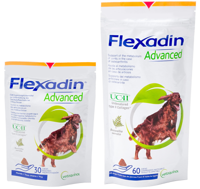 Flexadin Advanced Diät Ergänzungsfuttermittel für Hunde zwei Packungen