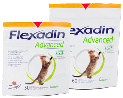 flexadin-advanced-diät-ergänzungsfuttermittel-katzen Flexadin Advanced Diät Ergänzungsfuttermittel für Katzen zwei Packungen